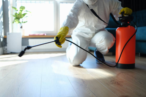 Reliable Odor Removal contractor in Pismo Beach, CA by Trauma Clean Pros